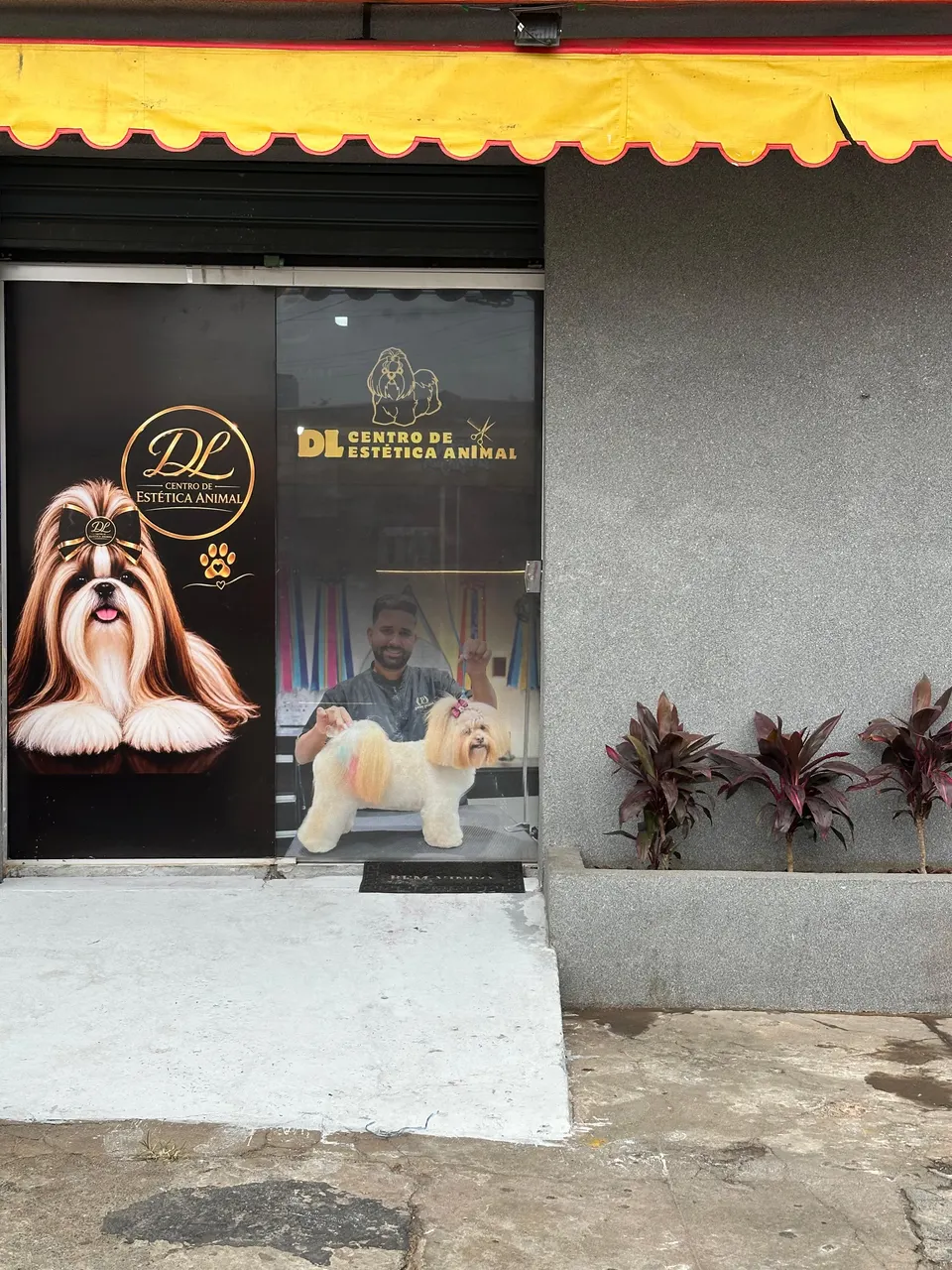 Fachada da DL Centro de Estética Animal na Avenida Padre Chicó, com porta de vidro adesivada e toldo amarelo